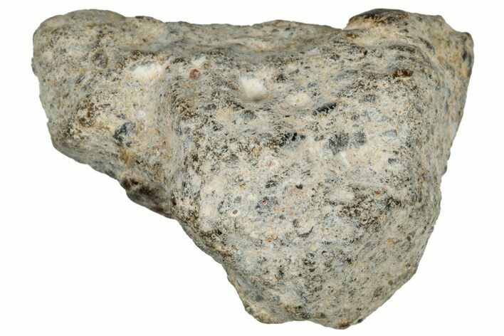 Lunar Meteorite ( g) - NWA #302822